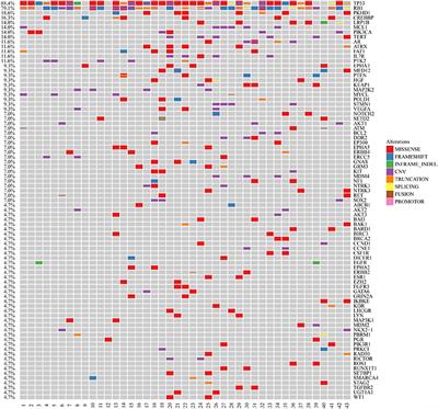 Resistance to Both Chemotherapy and EGFR-TKI in Small Cell Lung Cancer With EGFR 19-Del Mutation: A Case Report